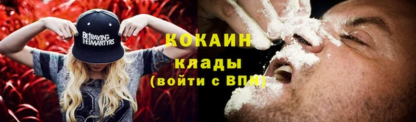 прущие крисы Гусев