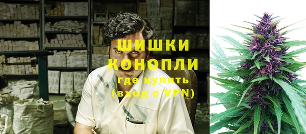 прущие крисы Гусев