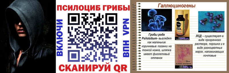 Псилоцибиновые грибы Psilocybe даркнет клад Енисейск